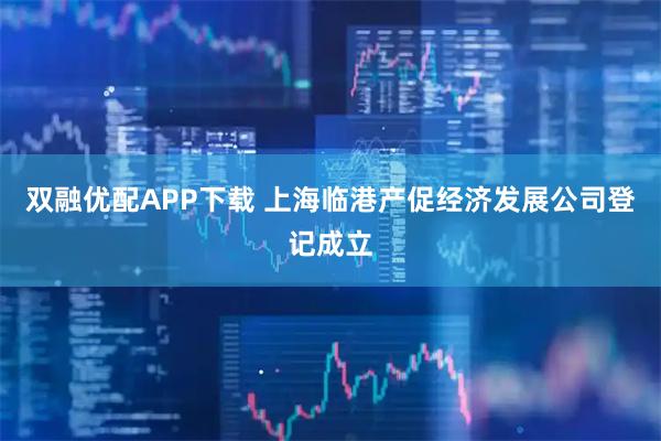 双融优配APP下载 上海临港产促经济发展公司登记成立