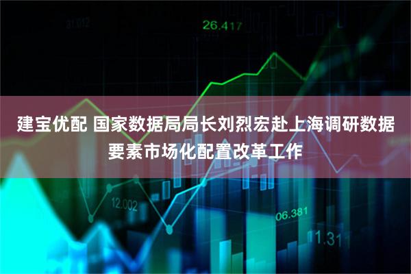 建宝优配 国家数据局局长刘烈宏赴上海调研数据要素市场化配置改革工作